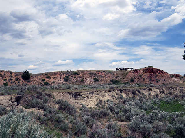 North Dakota Landscape by Clifton Avery